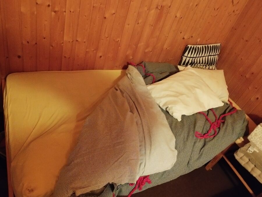 bettwanzen_bekaempfen