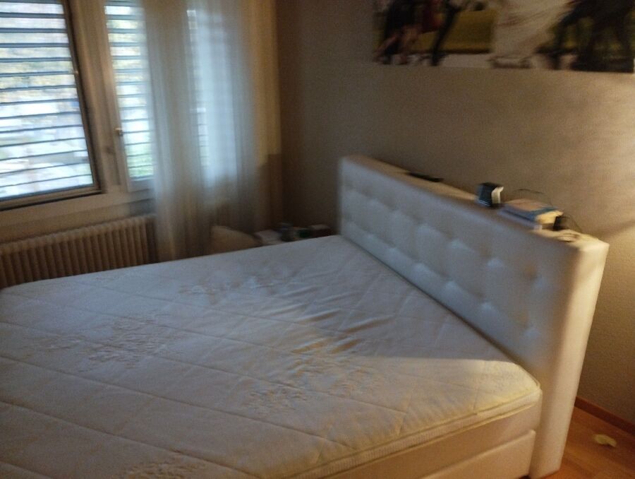 bettwanzen_bekaempfen