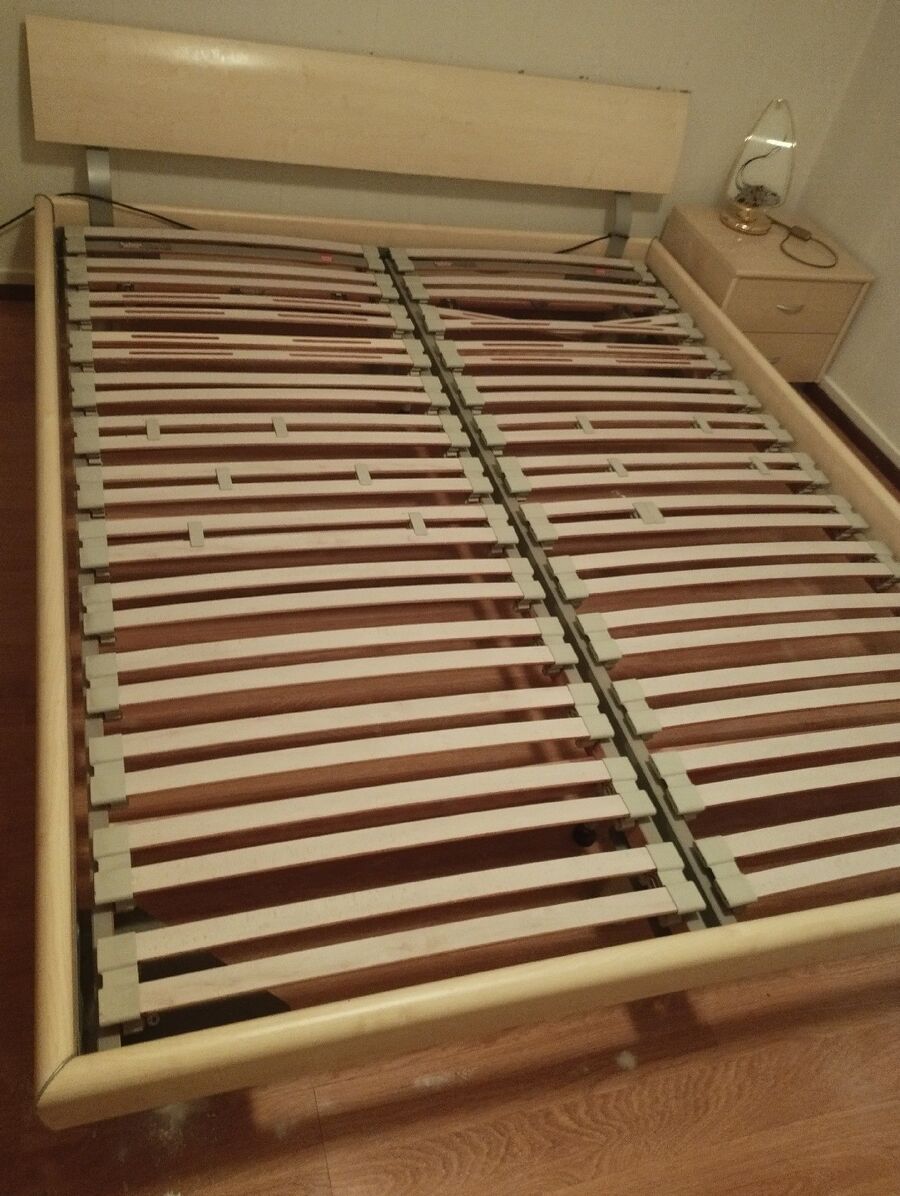 bettwanzen_bekaempfen