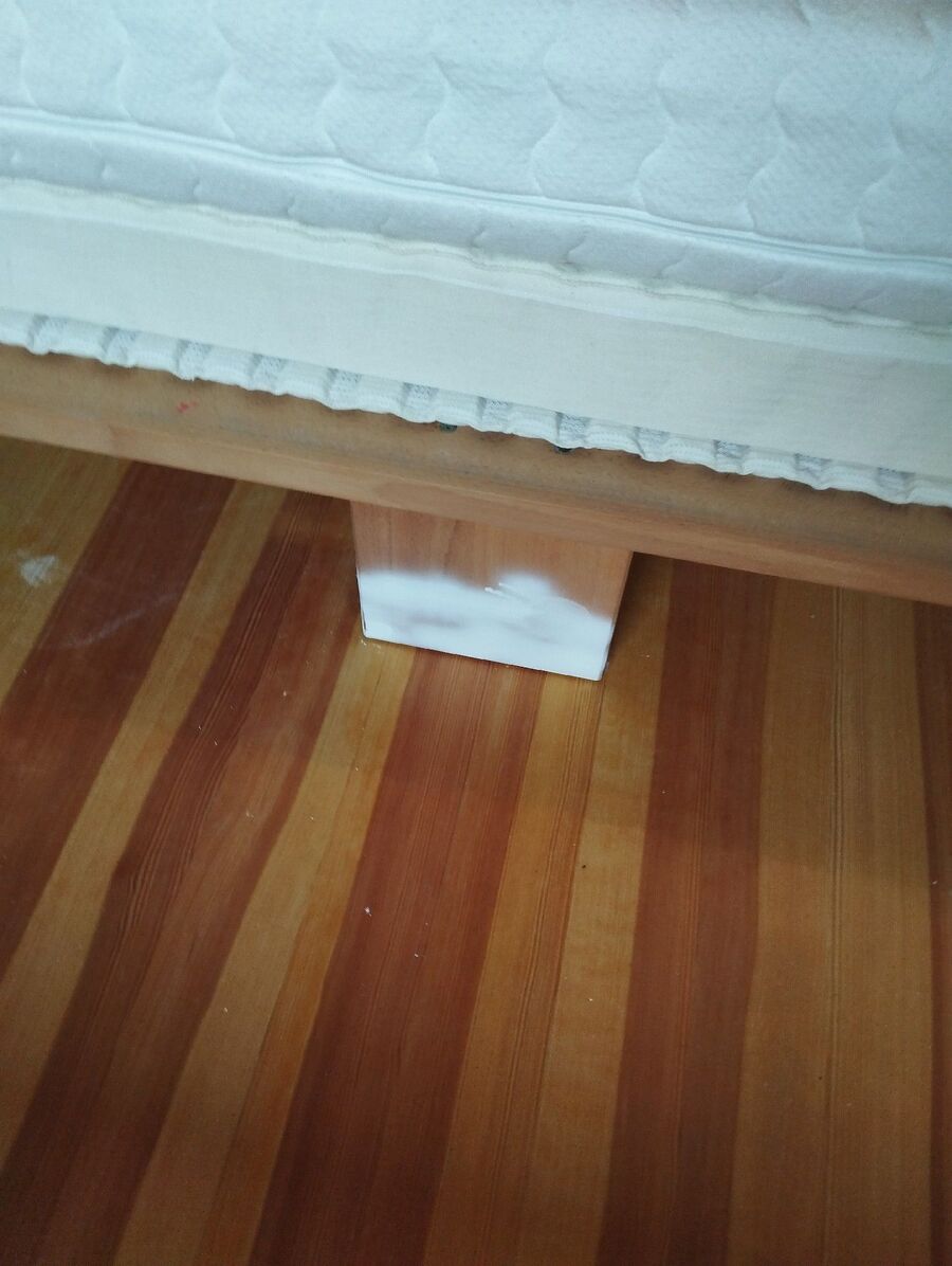 bettwanzen_bekaempfen