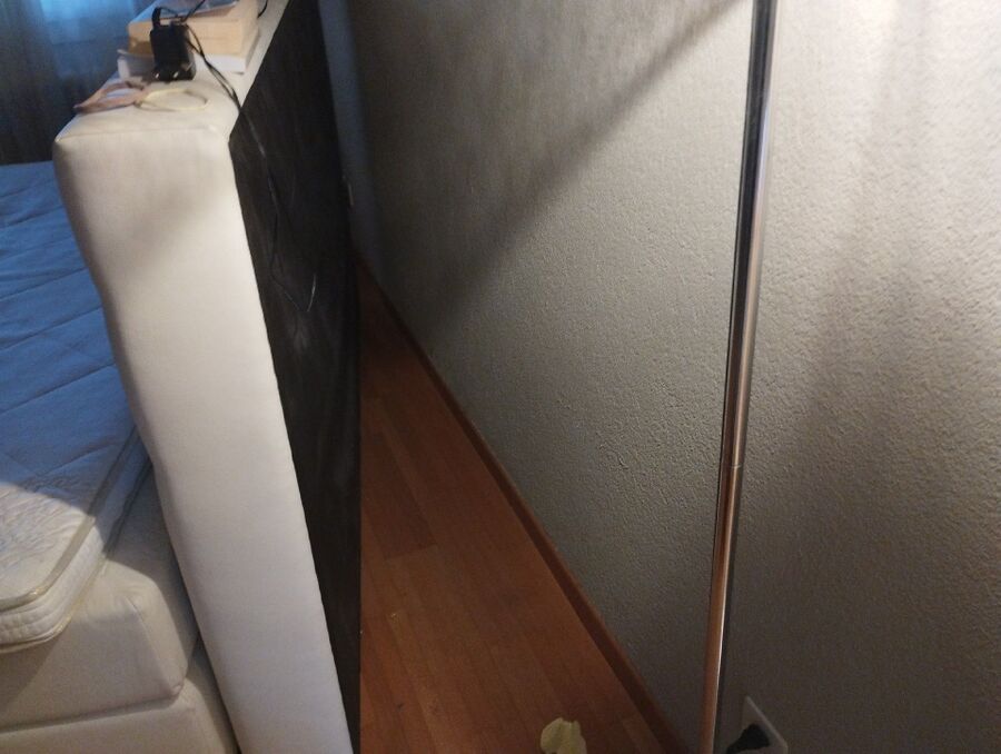 bettwanzen_bekaempfen