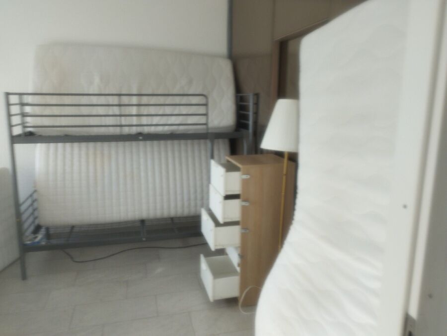 bettwanzen_bekaempfen