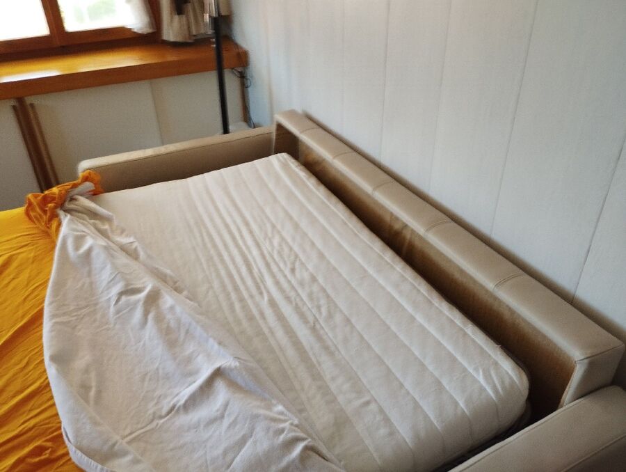 bettwanzen_bekaempfen