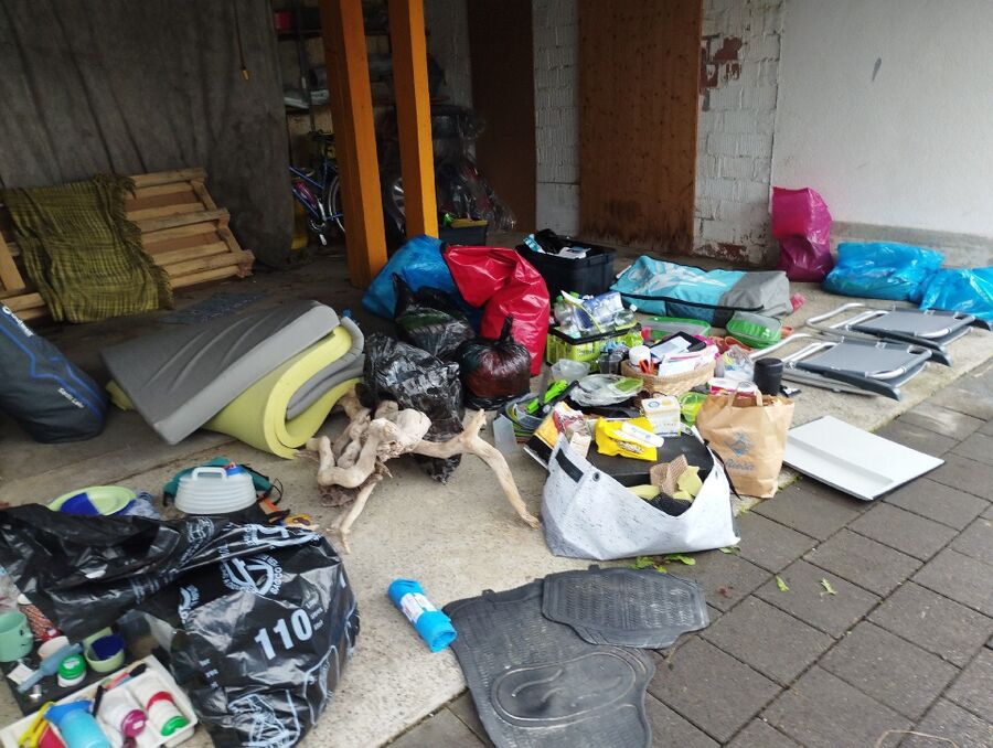 bettwanzen_bekaempfen