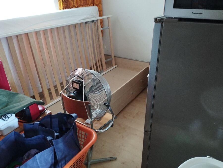 bettwanzen_bekaempfen