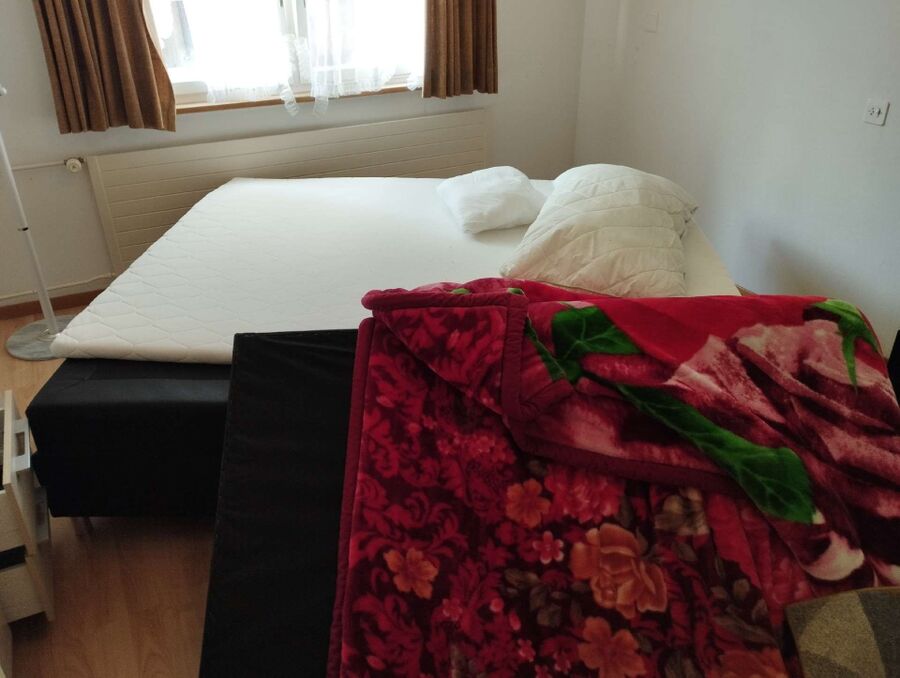 bettwanzen_bekaempfen