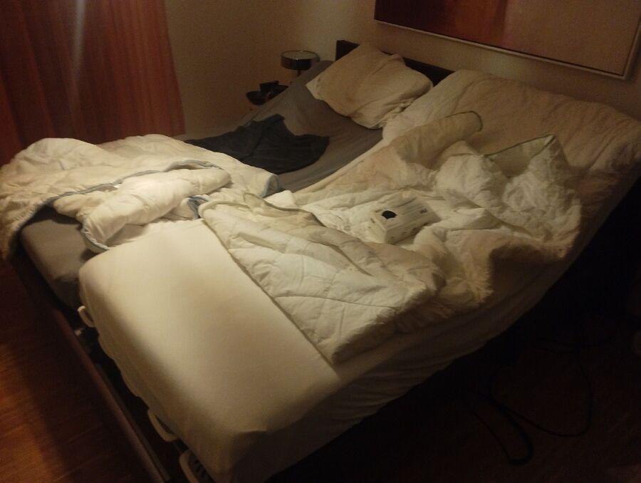 bettwanzen_bekaempfen