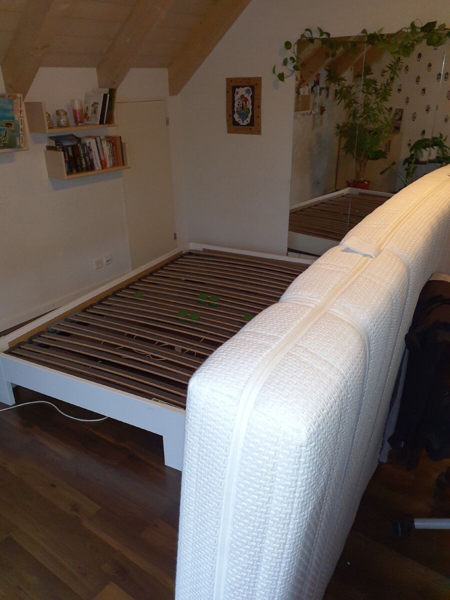 bettwanzen_bekaempfen