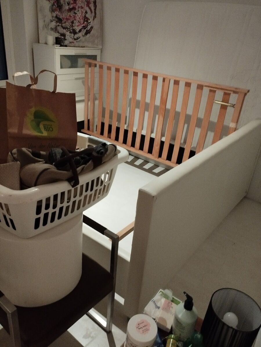 bettwanzen_bekaempfen