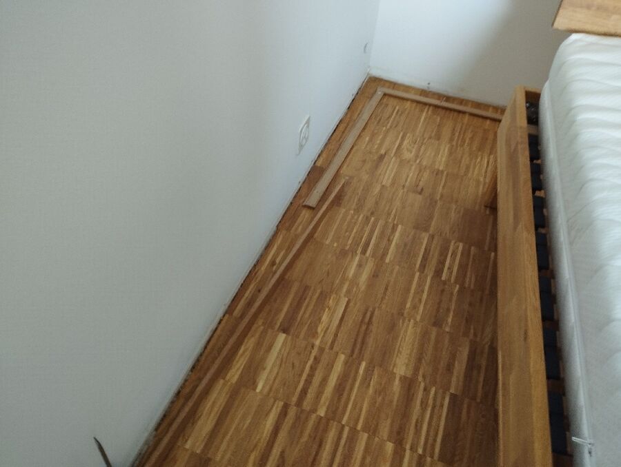 bettwanzen_bekaempfen