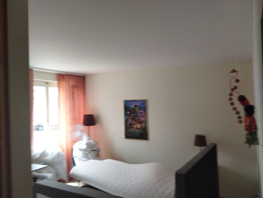 bettwanzen_bekaempfen