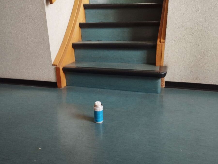 bettwanzen_bekaempfen