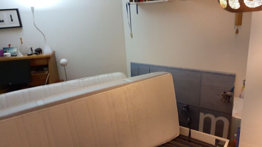 bettwanzen_bekaempfen