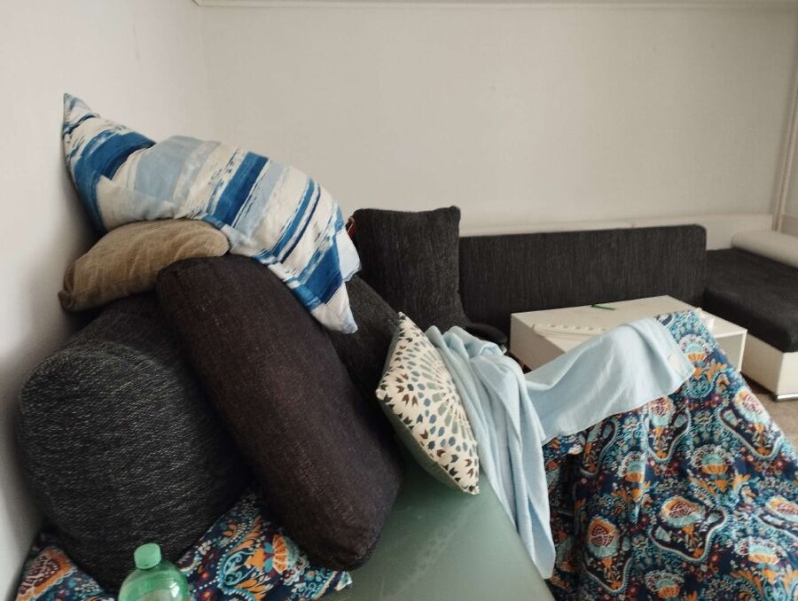 bettwanzen_bekaempfen