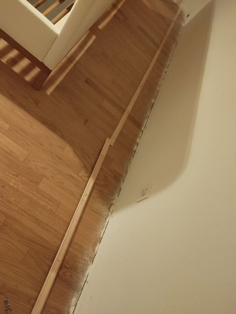 bettwanzen_bekaempfen