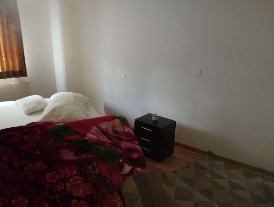 bettwanzen_bekaempfen