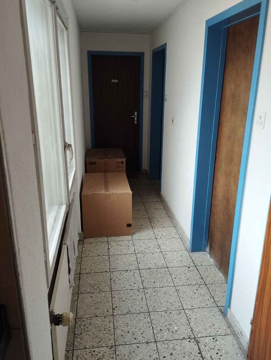 bettwanzen_bekaempfen