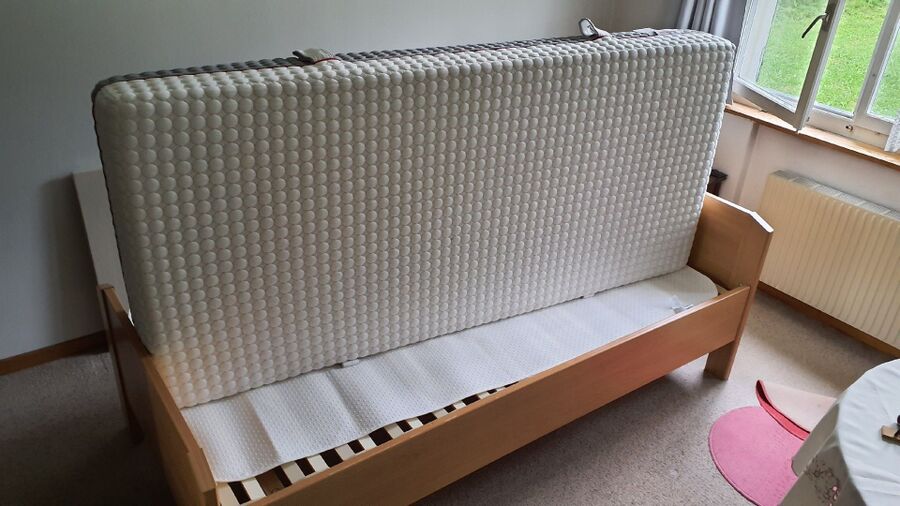 bettwanzen_bekaempfen