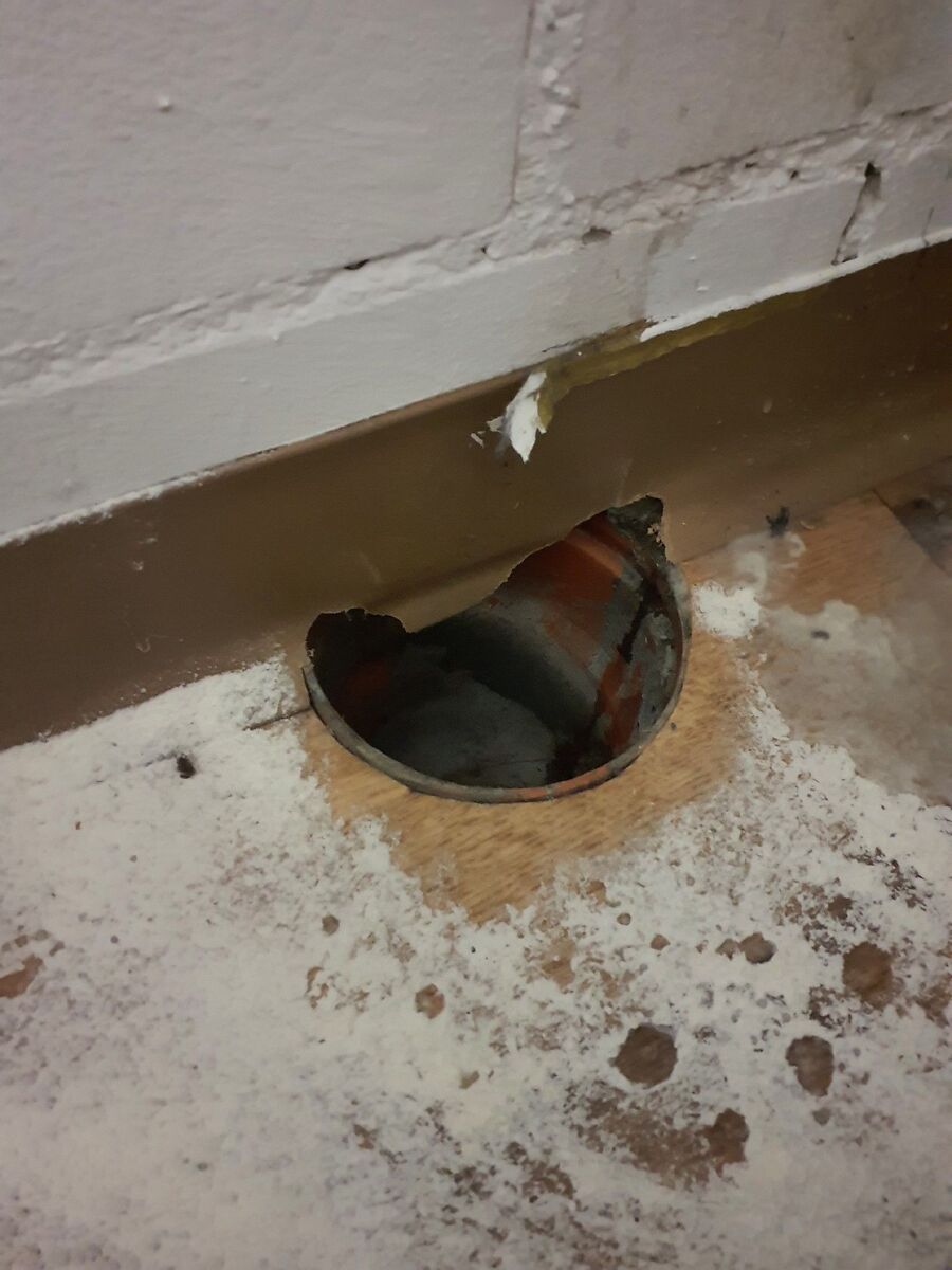 ratten_bekaempfung_ratten_vertreiben