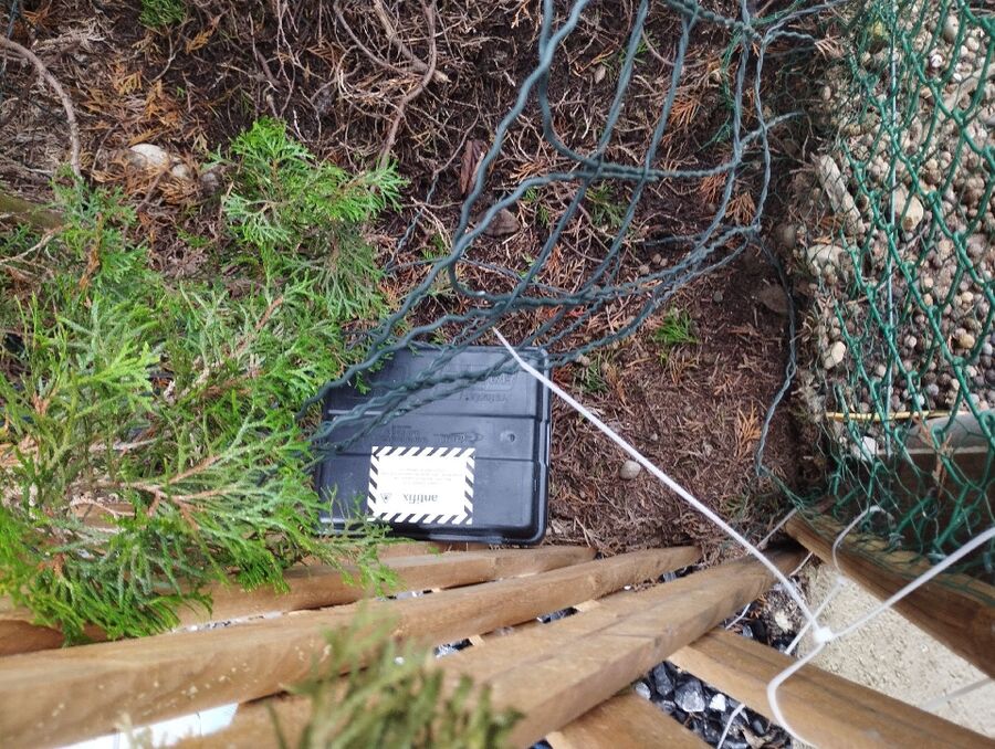 ratten_bekaempfung_ratten_vertreiben