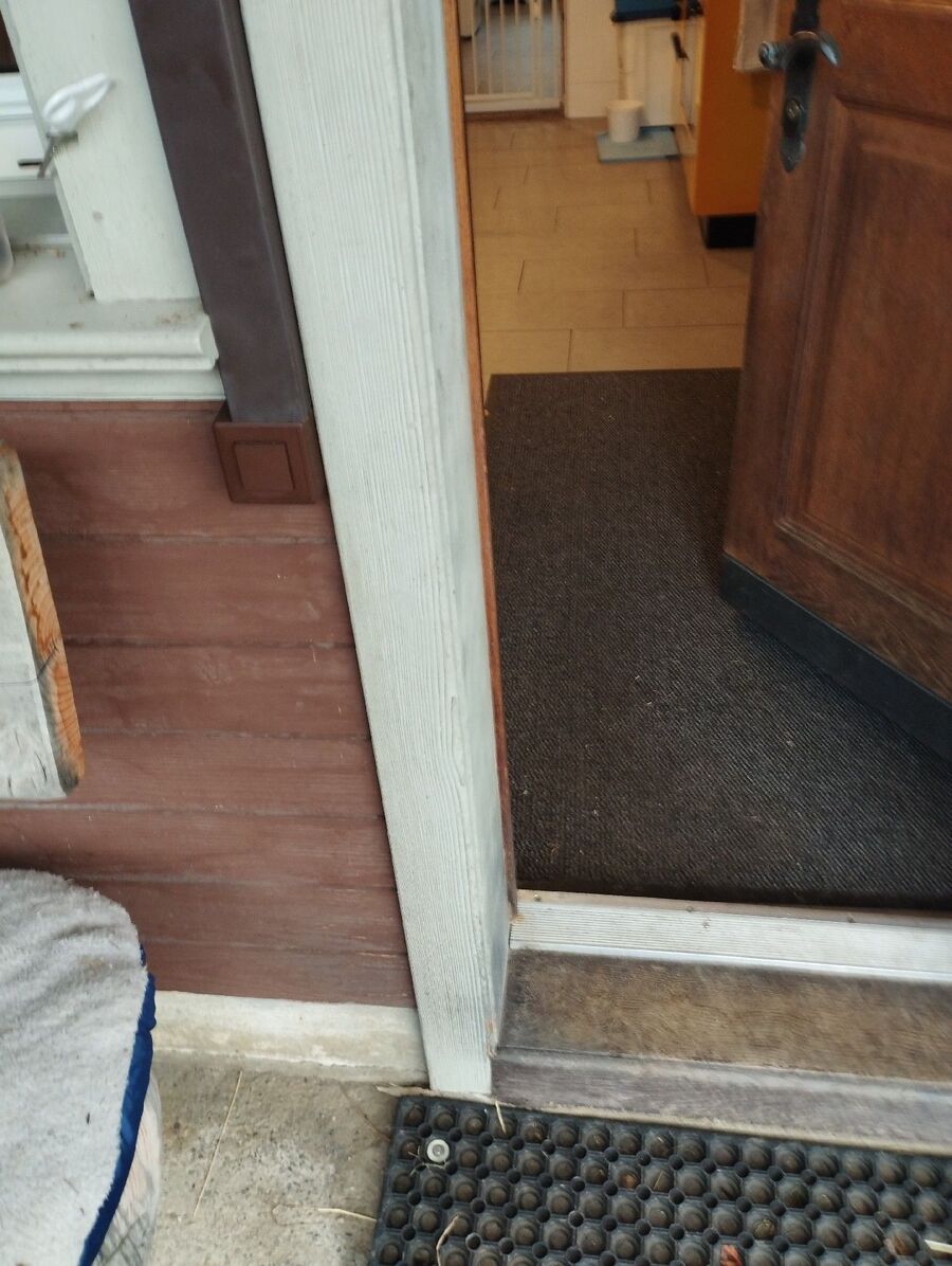 ratten_bekaempfung_ratten_vertreiben