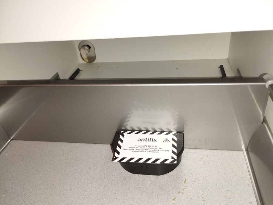 ratten_bekaempfung_ratten_vertreiben