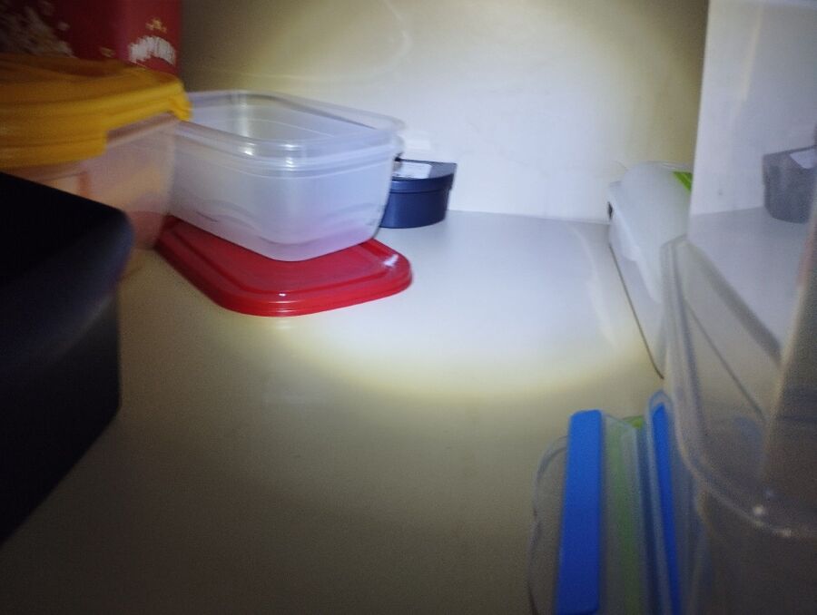 ratten_bekaempfung_ratten_vertreiben