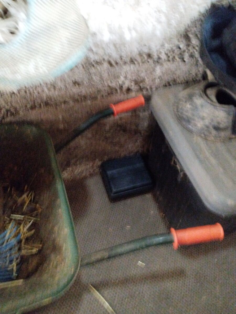 ratten_bekaempfung_ratten_vertreiben