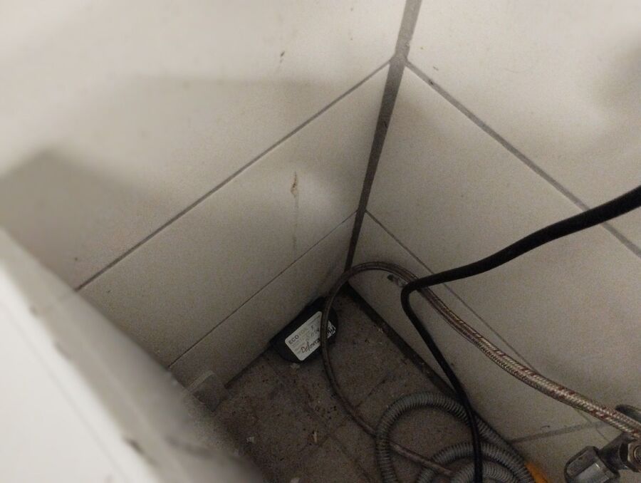 ratten_bekaempfung_ratten_vertreiben