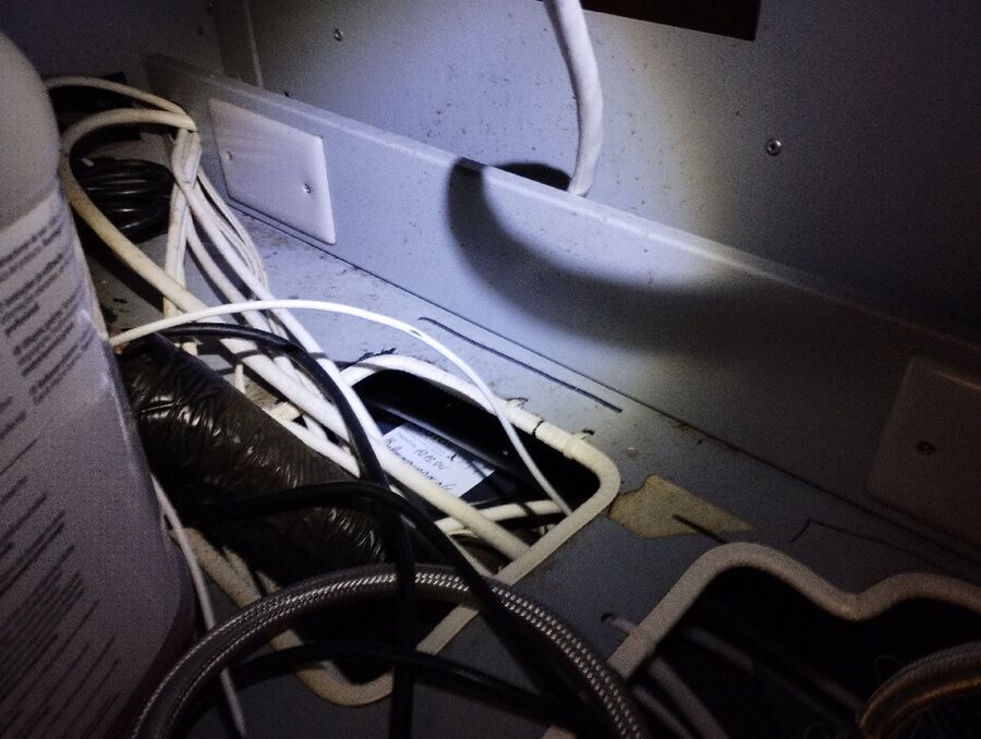 ratten_bekaempfung_ratten_vertreiben