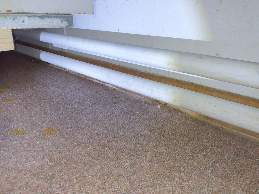 ratten_bekaempfung_ratten_vertreiben