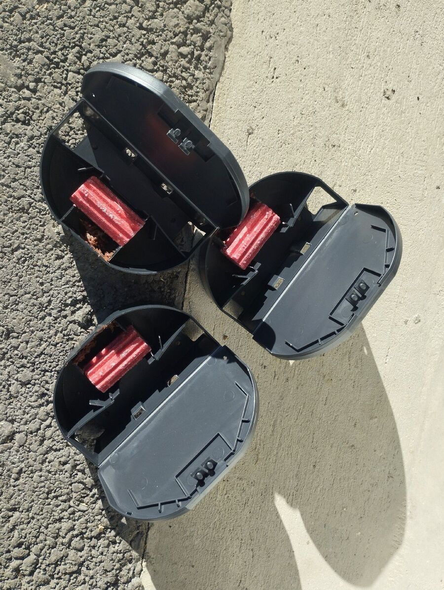 ratten_bekaempfung_ratten_vertreiben