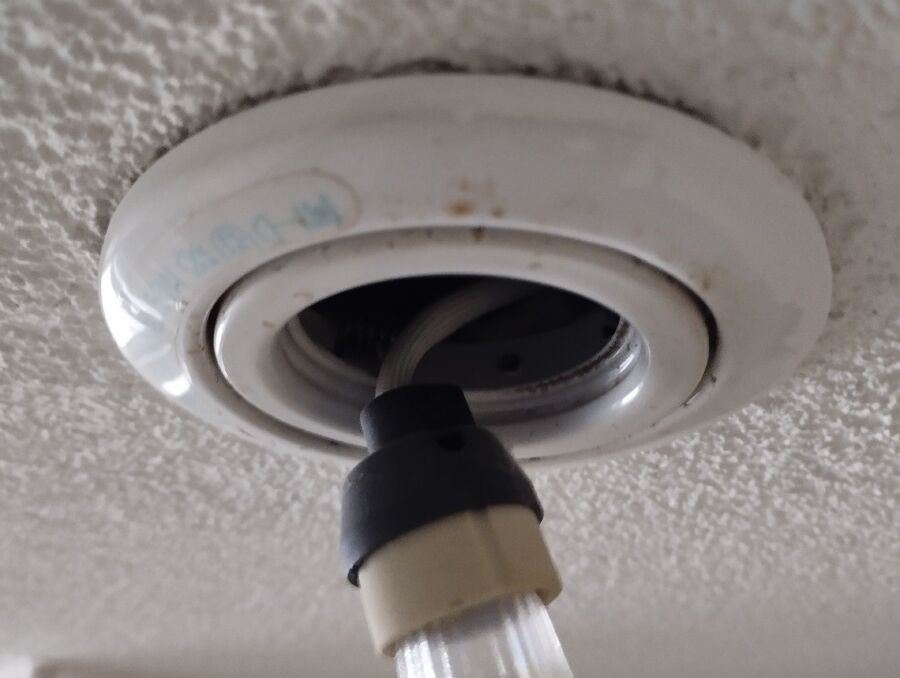 ratten_bekaempfung_ratten_vertreiben