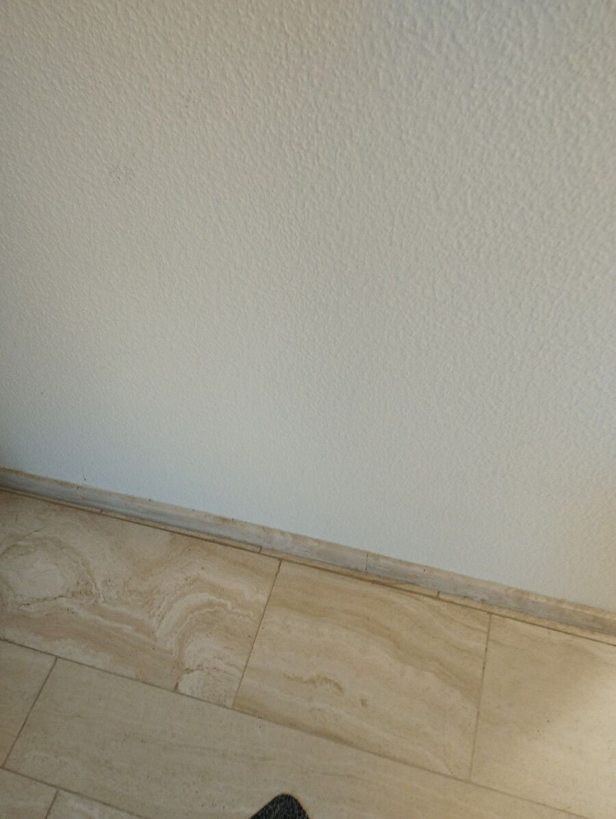 ratten_bekaempfung_ratten_vertreiben