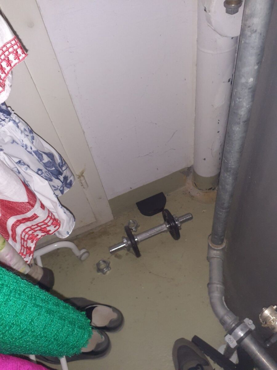 ratten_bekaempfung_ratten_vertreiben