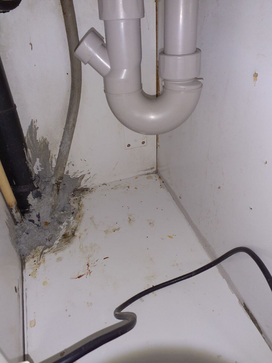 ratten_bekaempfung_ratten_vertreiben