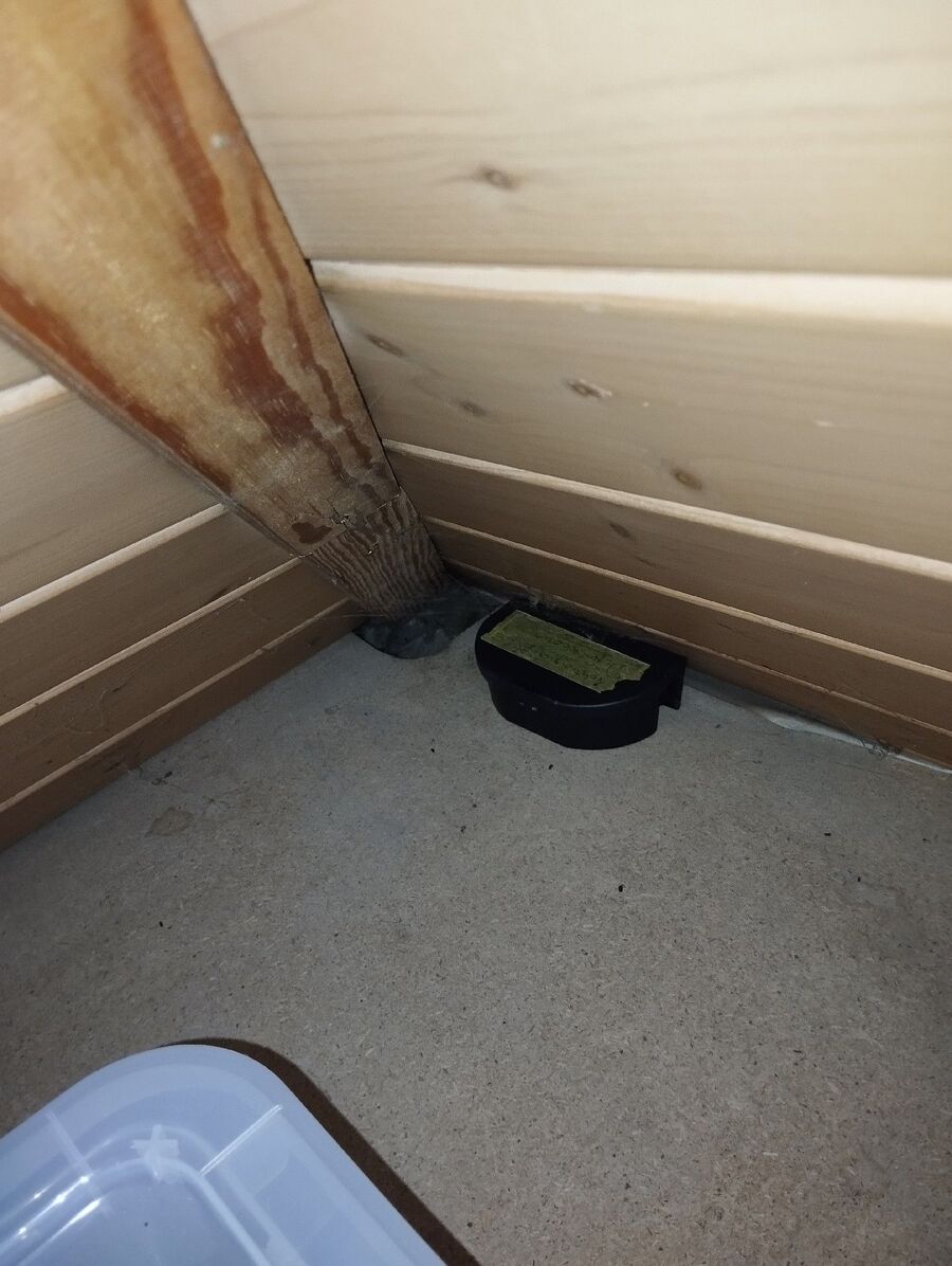 ratten_bekaempfung_ratten_vertreiben