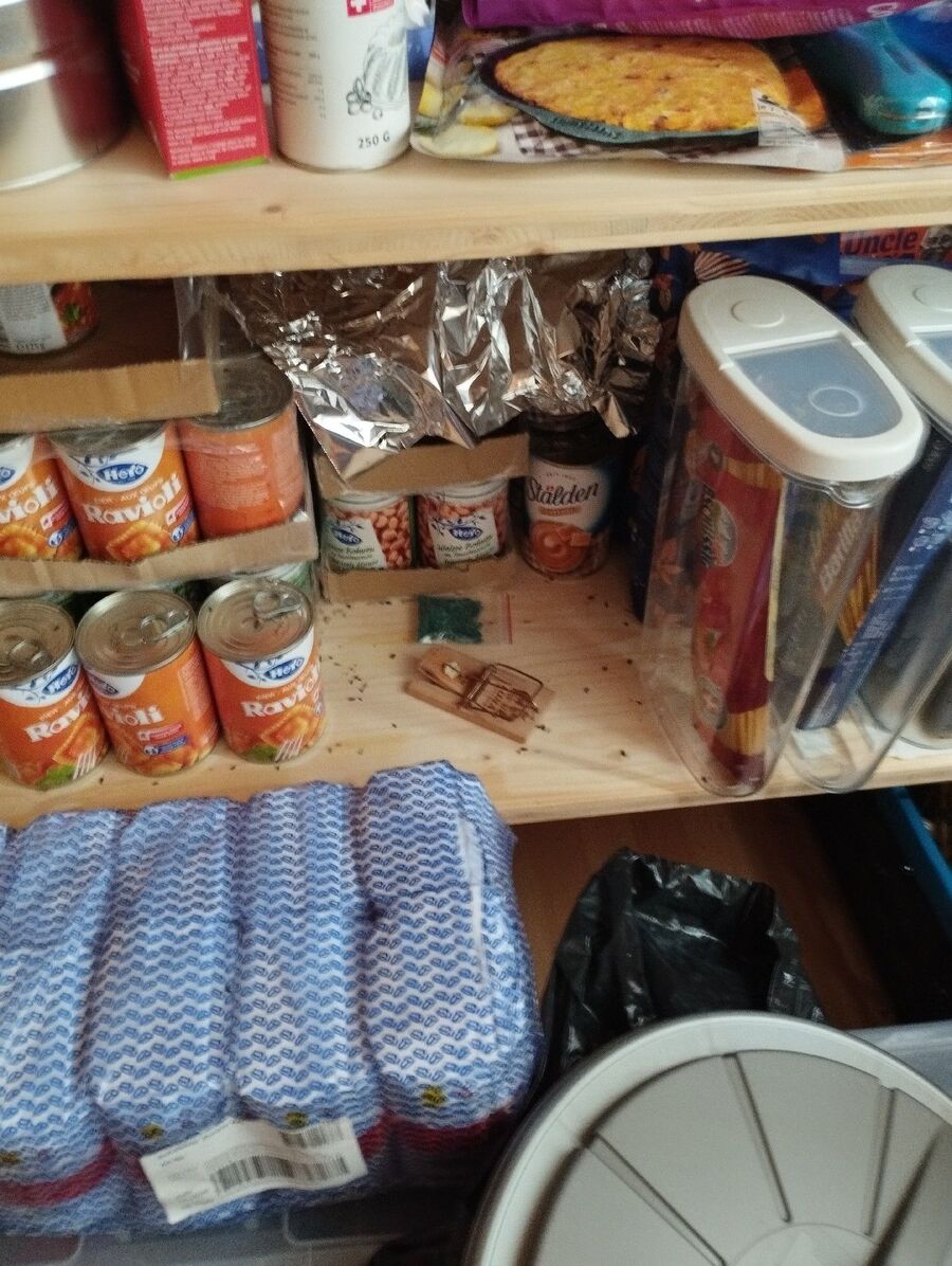 ratten_bekaempfung_ratten_vertreiben