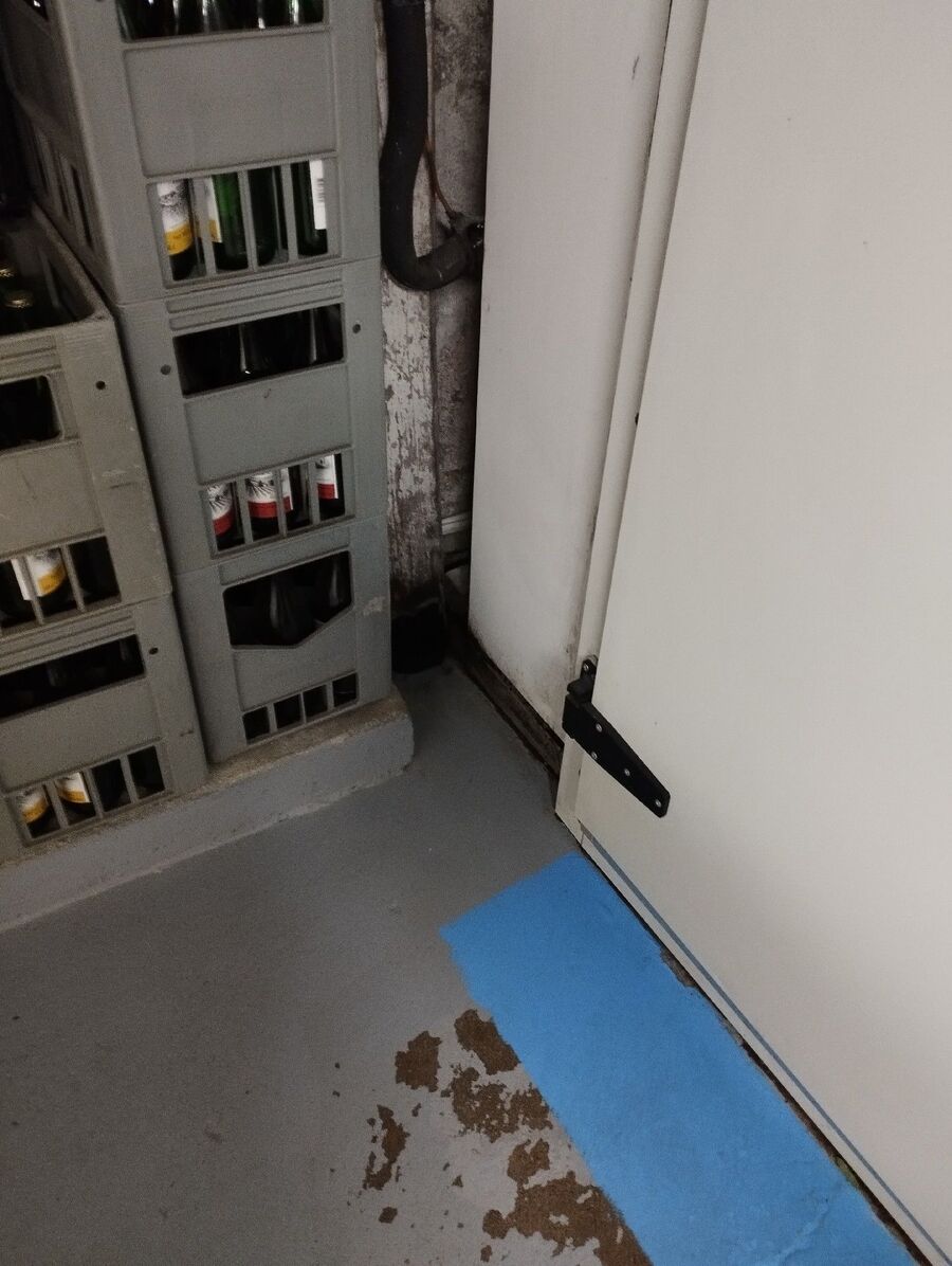 ratten_bekaempfung_ratten_vertreiben