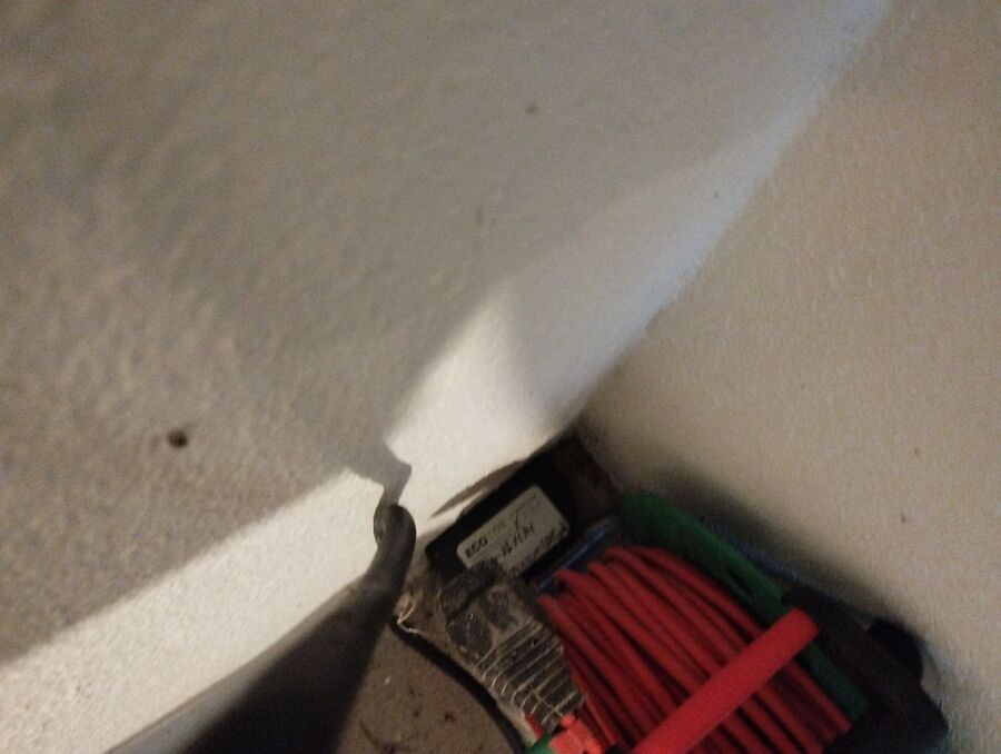 ratten_bekaempfung_ratten_vertreiben