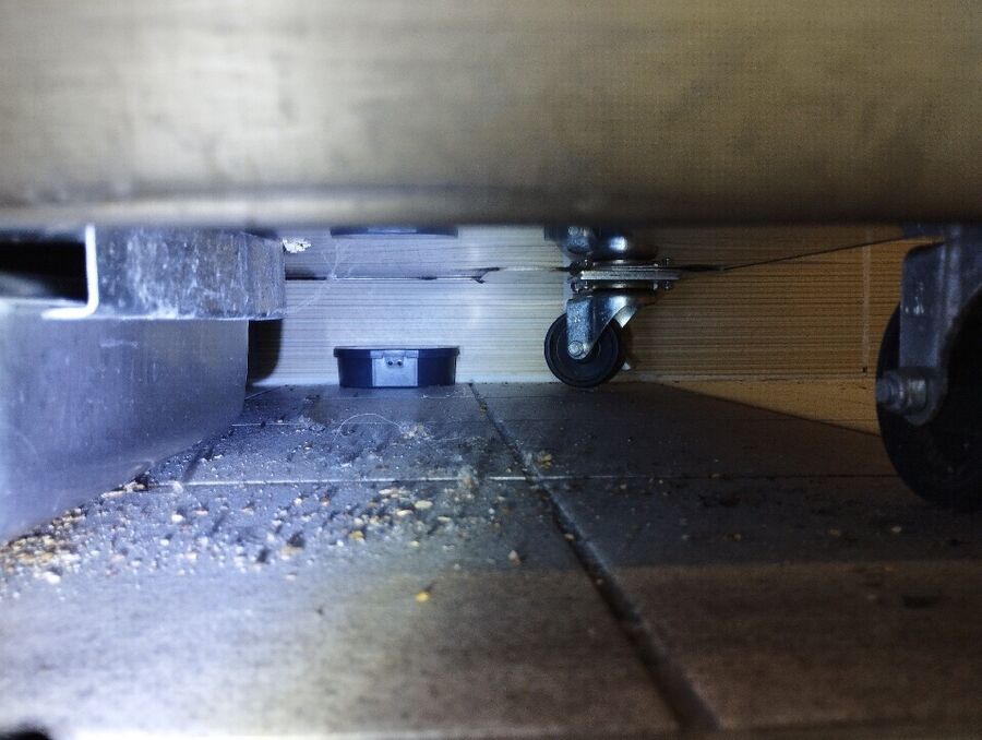 ratten_bekaempfung_ratten_vertreiben