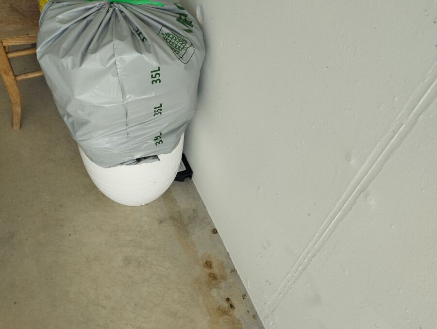 ratten_bekaempfung_ratten_vertreiben