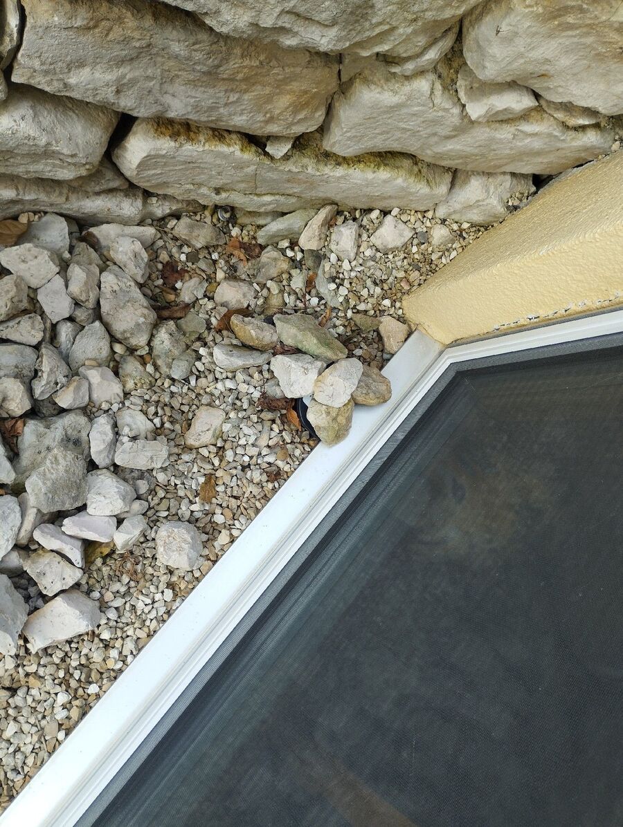 ratten_bekaempfung_ratten_vertreiben