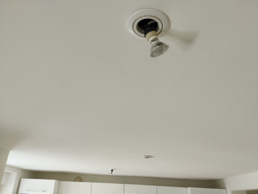 ratten_bekaempfung_ratten_vertreiben