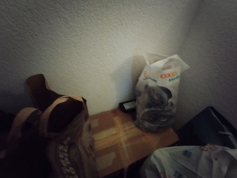 ratten_bekaempfung_ratten_vertreiben