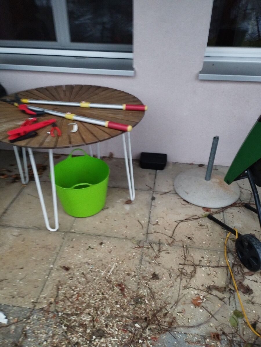 ratten_bekaempfung_ratten_vertreiben