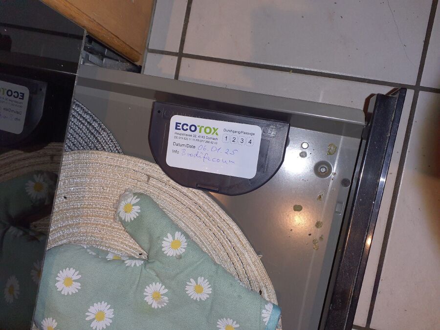 ratten_bekaempfung_ratten_vertreiben