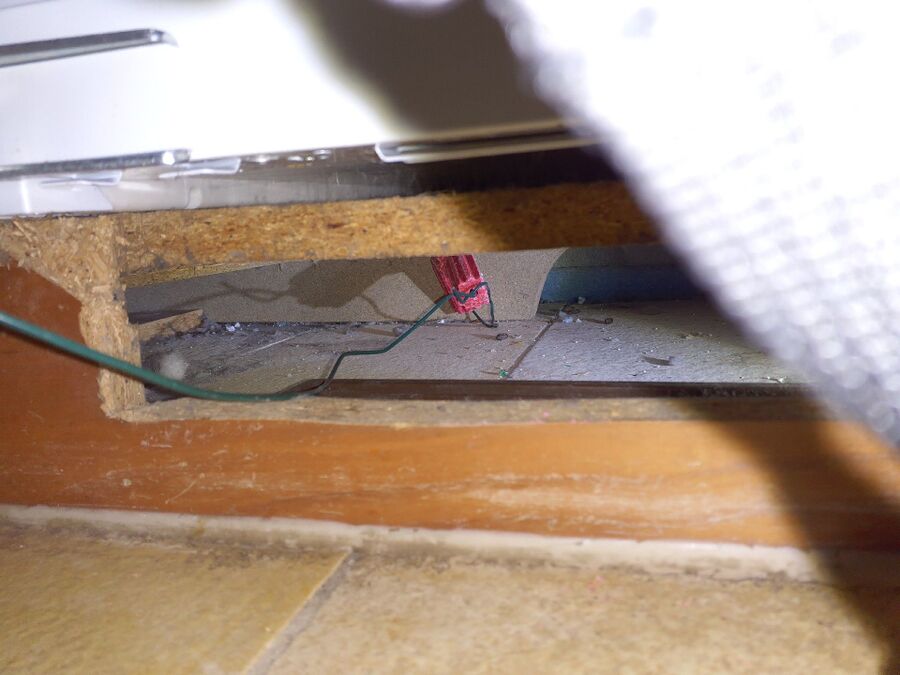 ratten_bekaempfung_ratten_vertreiben