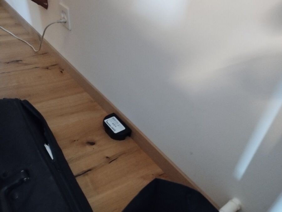 ratten_bekaempfung_ratten_vertreiben