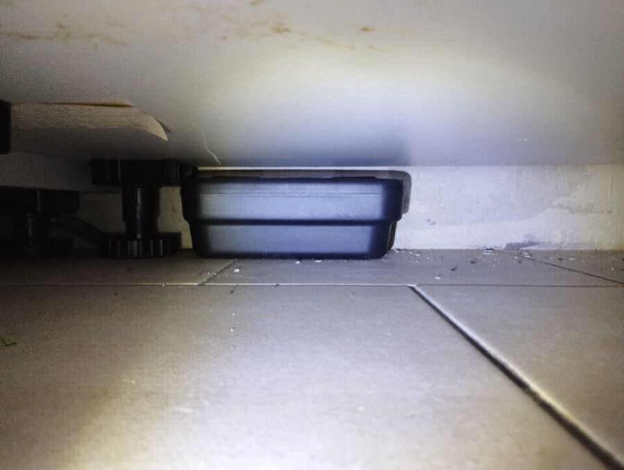 ratten_bekaempfung_ratten_vertreiben